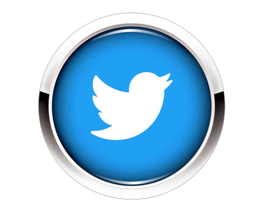 Twitter button
